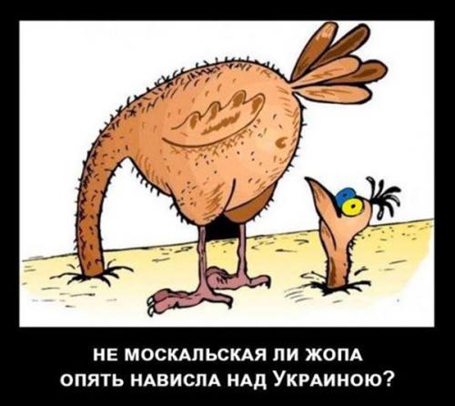 А не москальская ли жопа опять нависла над Украиной?