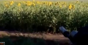 Видео с принимающими участие в карательной операции иностранными наёмниками
