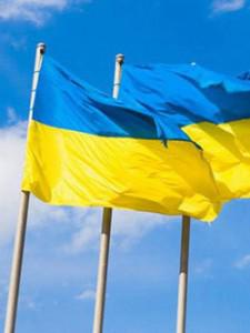 Запорожцев приглашают на марш желто-голубых флагов