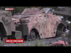 Разгром подразделения карателей под Старобешево