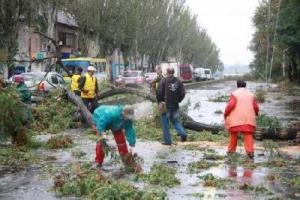 В Запорожье повалено около 2 тысяч деревьев, без света остаются 40 тысяч абонентов