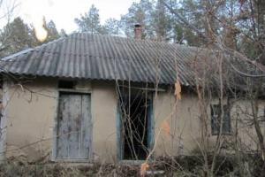 Под Киевом изнасиловали 11-летнюю девочку