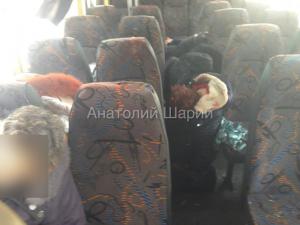 Людей в автобусе под Волновахой добили из автоматов