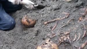 В воинской части Мелитополя нашли останки времен ВОв