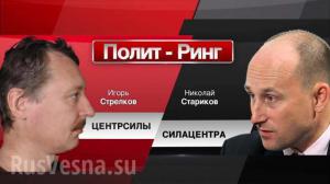 Стариков заявил, что Стрелкова могут убить