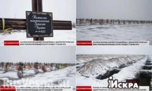 Запорожье против мобилизации: народный сход постановил — мужиков в армию не отдавать, а военкома выгнать (ВИДЕО)