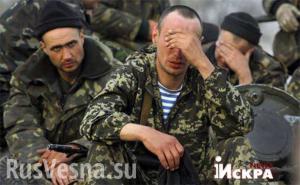 В Мариуполе и Харькове запретили праздновать День защитника Отечества