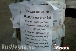 Запорожца обвинили в создании террористической организации из-за листовок о ценах и пенсиях