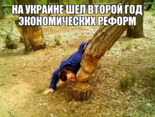 Экономические реформы киевской хунты - не для повышения уровня жизни