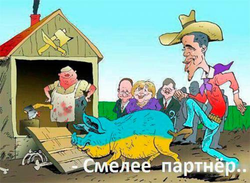 Смелее, партнёр!