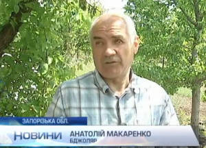Запорожский пенсионер лечит бойцов АТО пчелами