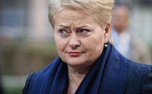 Президент Литвы не видит в окончании Второй мировой войны повода для празднования