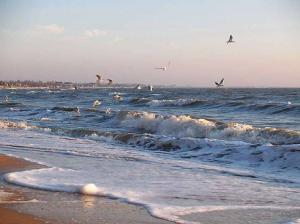 Комиссия по пляжам Бердянска подвела итоги за июнь