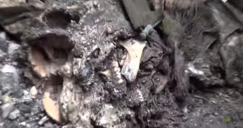 Под завалами донецкого аэропорта найдены новые останки карателей