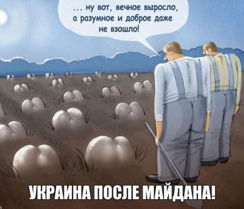 Не то посеяли...