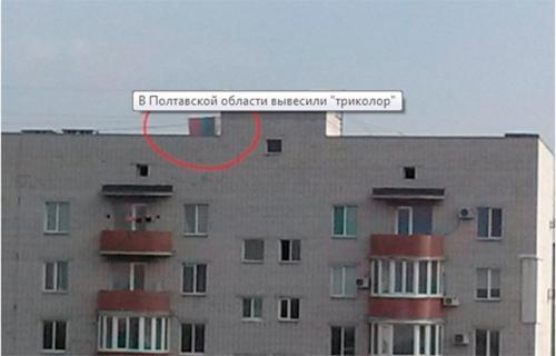 Из будней жёлто-голубых стукачей