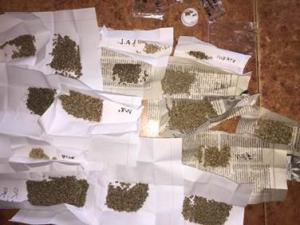 В Запорожской области у преступников нашли наркотики на полмиллиона гривен