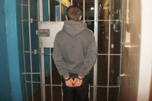 Малолетний грабитель похитил улей с пчелами