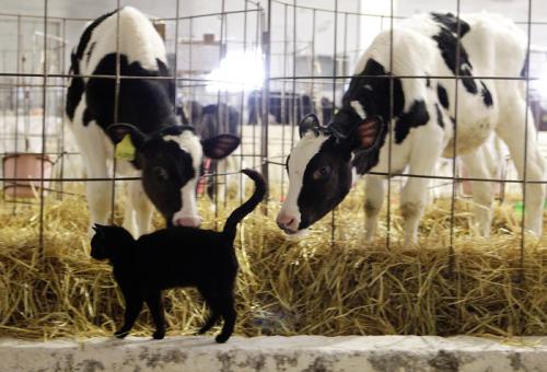 Экспорт сельхозпродукции из Украины в Россию рухнул на 70 %