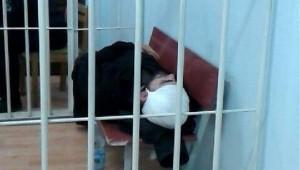Стрельба на Закарпатье: еще одного бойца ПС взяли под стражу на два месяца