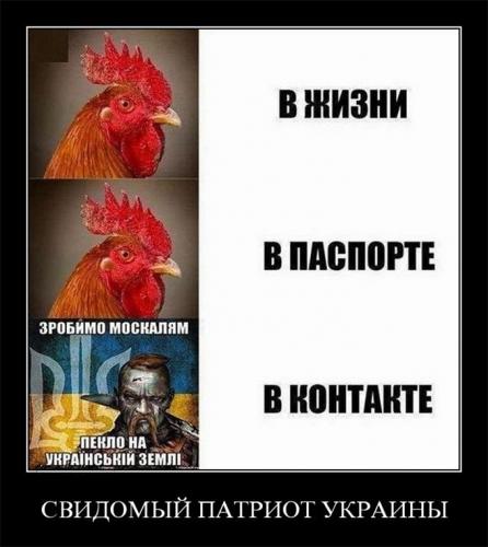 Свидомый патриот Украины