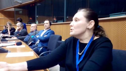 Татьяна Монтян в Европарламенте: Украина – failed stat, её разорвут