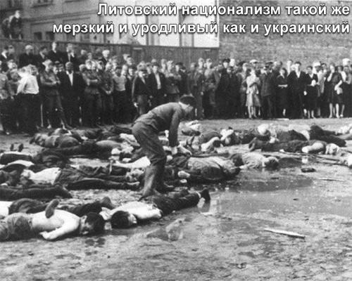 Автору книги о зверствах литовцев в ходе Великой Отечественной угрожали смертью