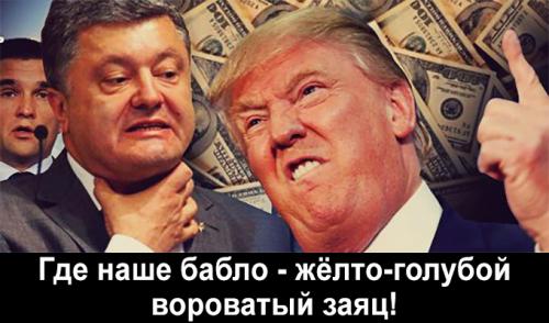 Встреча президентов США и Украины невозможна - Трамп требует отчёта за финансирование Обамы