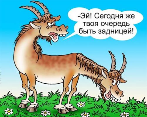 Сферический эффективный собственник