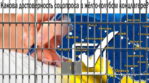 Результаты соцопроса заключённых под присмотром нацистских вертухаев