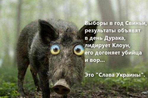 Шансы Зеленского на победу над диктатором во втором туре
