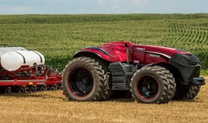 Як почати свій агробізнес цього літа