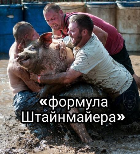 Киеву придётся отвечать за саботирование «формулы Штайнмайера»