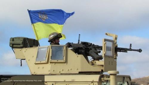 «Формула Штайнмайера» и свиноарийский режим