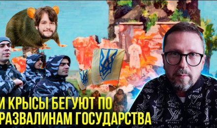 Мартышки Зели на развалинах государства
